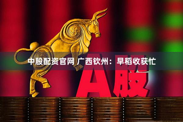 中股配资官网 广西钦州：早稻收获忙