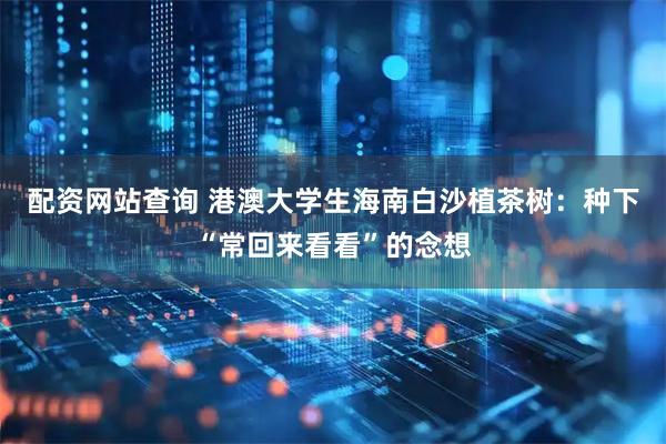 配资网站查询 港澳大学生海南白沙植茶树：种下“常回来看看”的念想