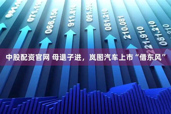 中股配资官网 母退子进，岚图汽车上市“借东风”
